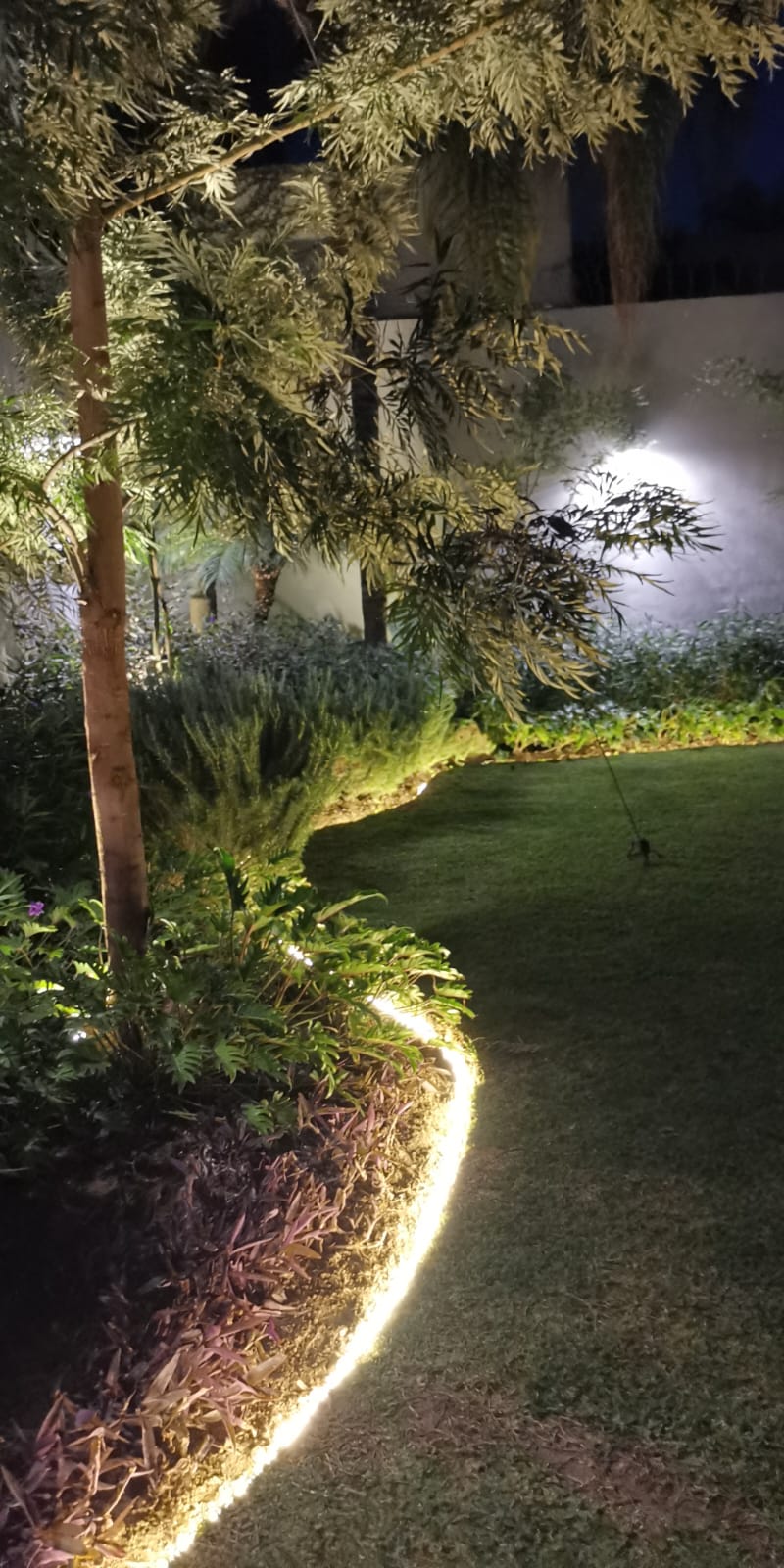 Diseño de jardín con LED